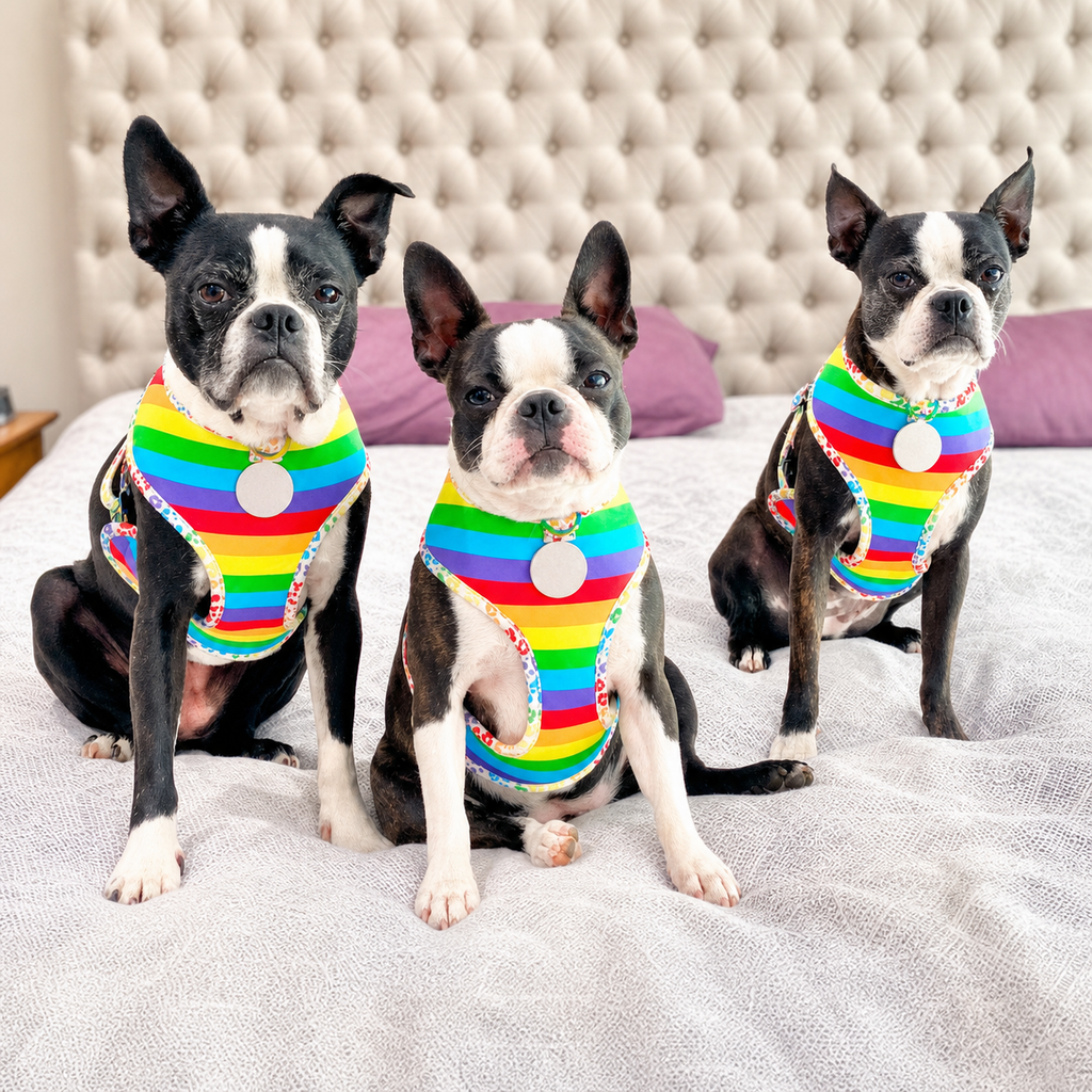 Dailypets Reversible Dog Harness Dual Print Dog Walking Vest