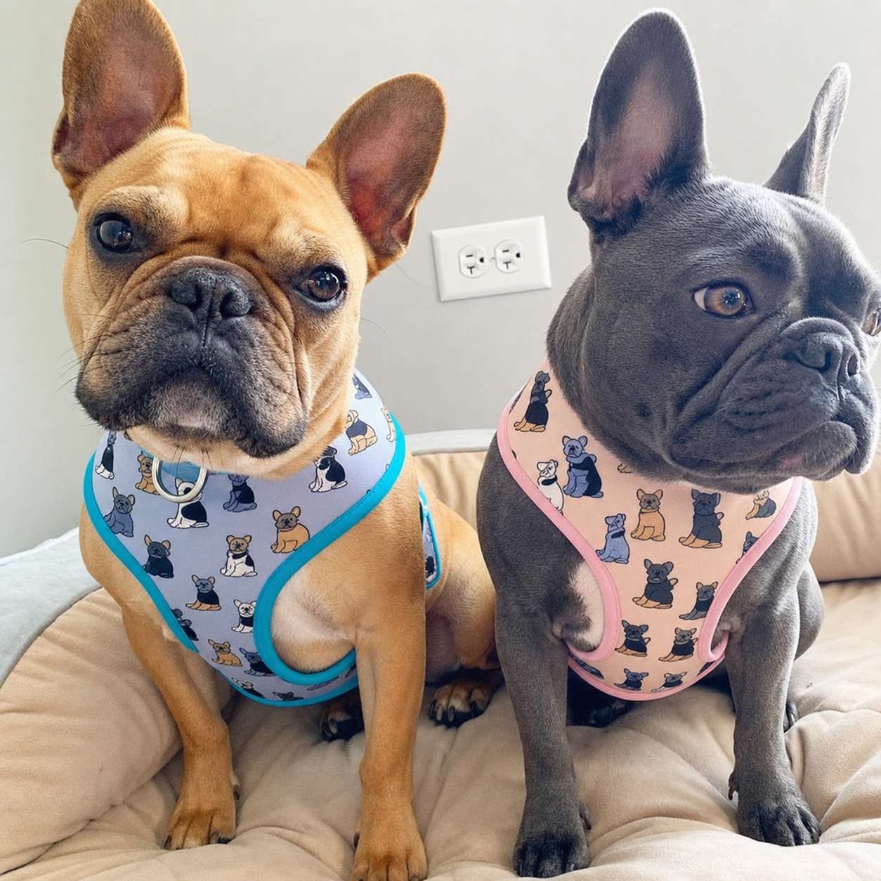 Dailypets Reversible Dog Harness with Dual D-Rings for Walks