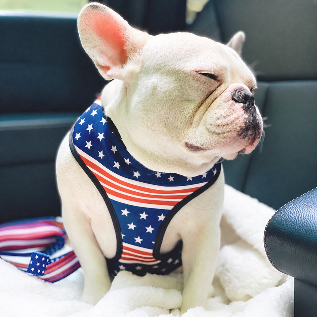Dailypets Reversible Dog Harness No-Pull Front Clip for Dogs