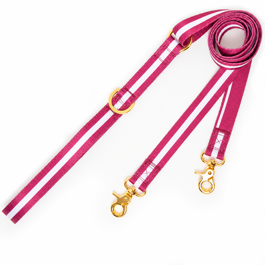 Dailypets Dual Dog Leash Heavy Duty Swivel Clip Dog Lead