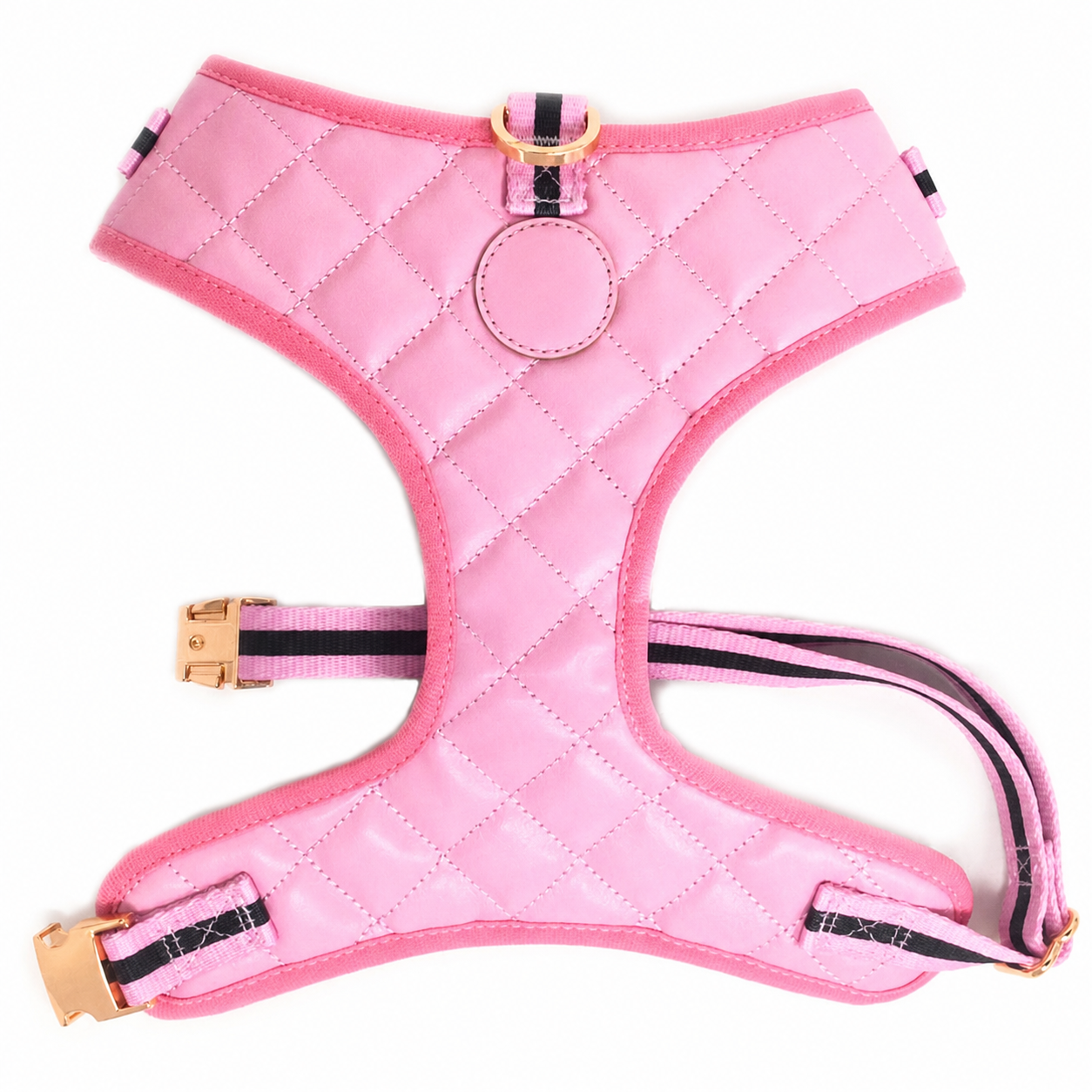Dailypets Neck Adjustable Dog Harness with Breakaway Buckle