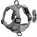 Dailypets Escape Proof Pet Harness with Reflective Breathable Mesh for Daily Walks