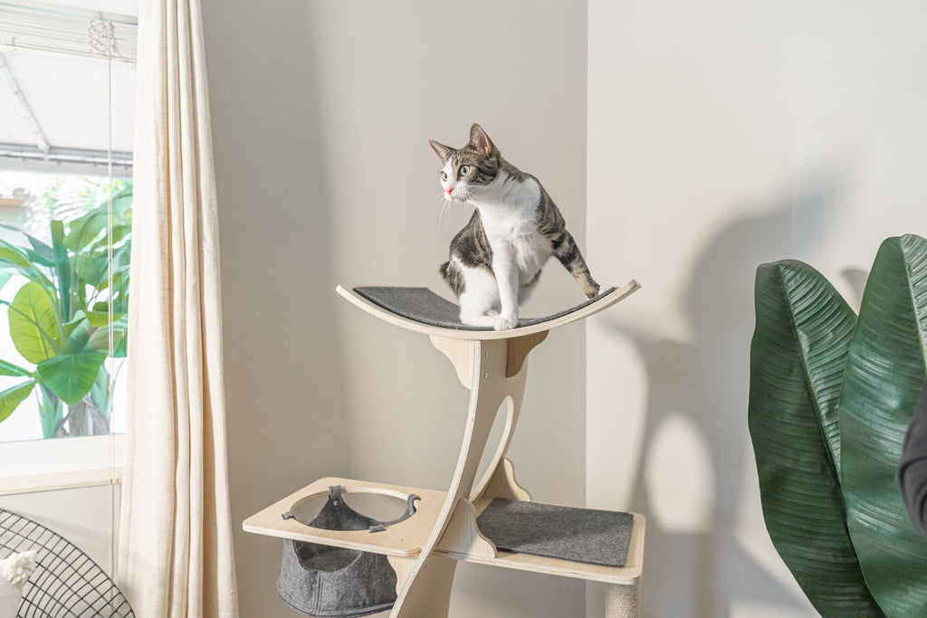 Dailypets Wooden Cat Tree Condo, Multi-Level Tower with Hammock and Cubby