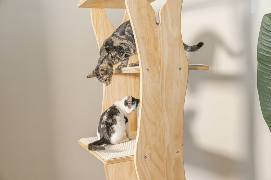 Dailypets Cat Activity Tree, Modern Climbing Tower for Multi-Cat Homes