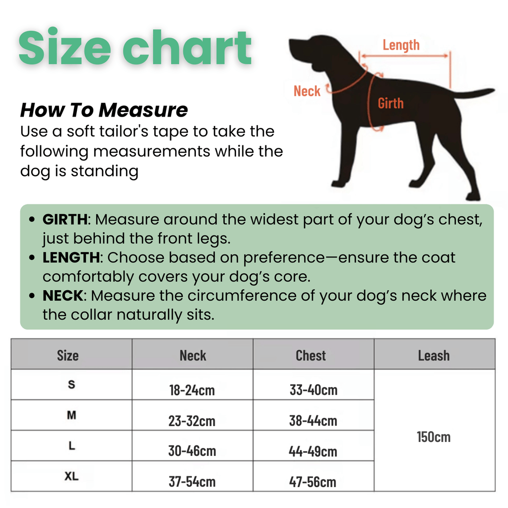 Dailypets Escape Proof Pet Harness with Reflective Breathable Mesh for Daily Walks