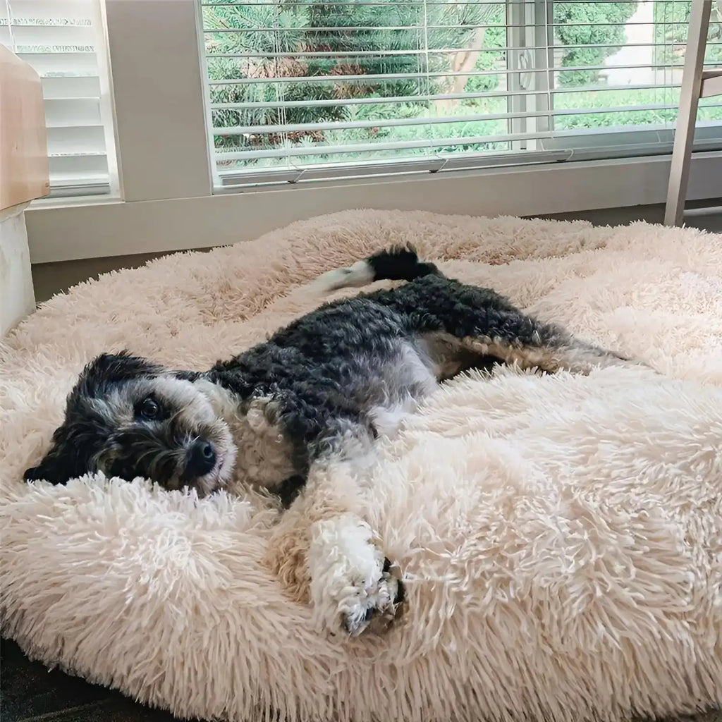 Dailypets Cozy Dog Donut Bed, Fluffy Resting Bed for Small to Large Breeds