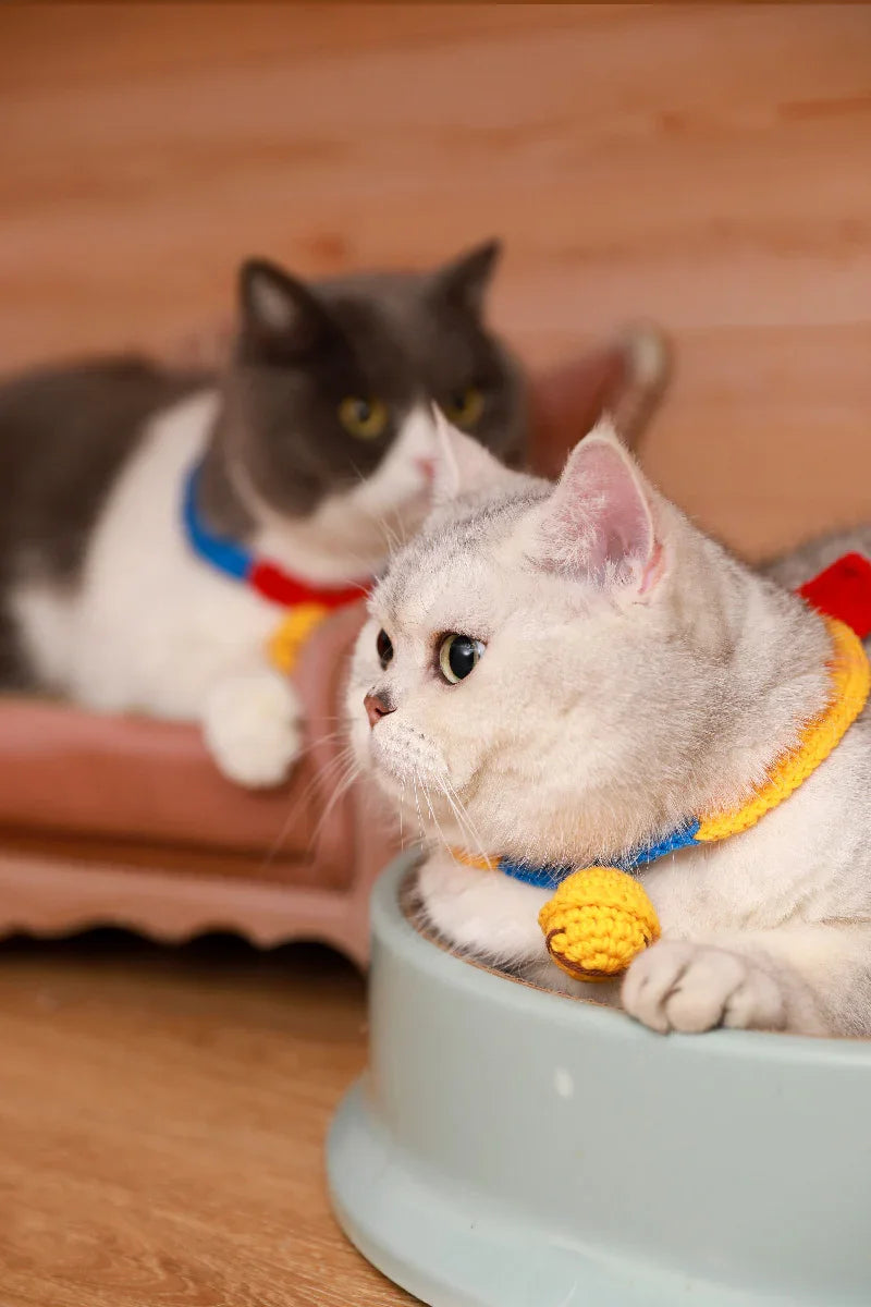 Dailypets Soft Knit Cat Collar with Decorative Bell and Comfortable Fit