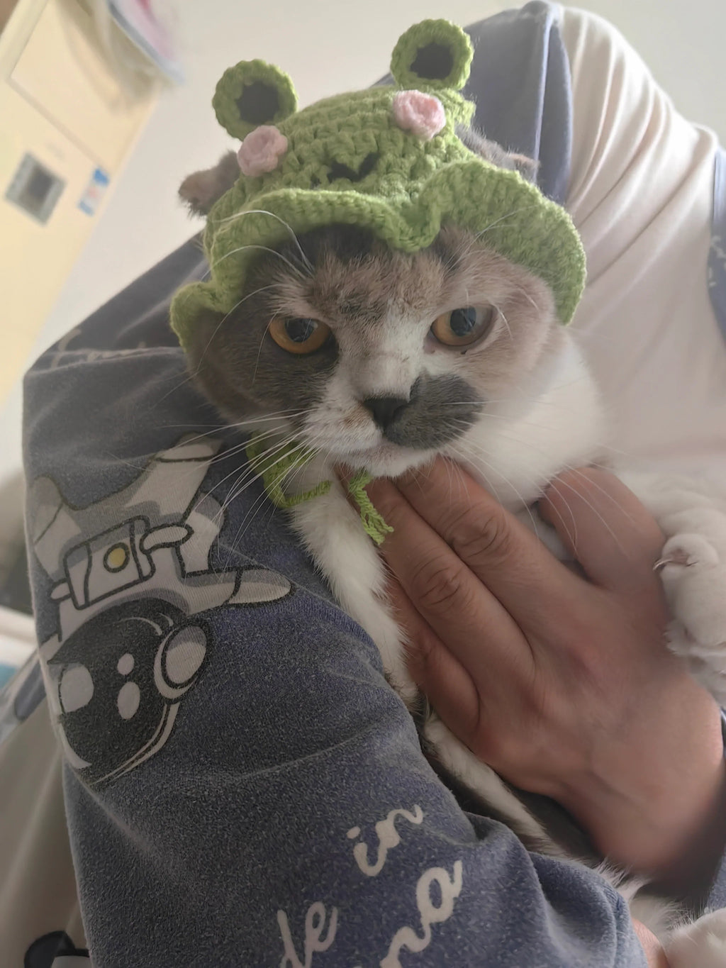 Dailypets Cute Frog Cat Hat for Photo Sessions and Everyday Dress-Up