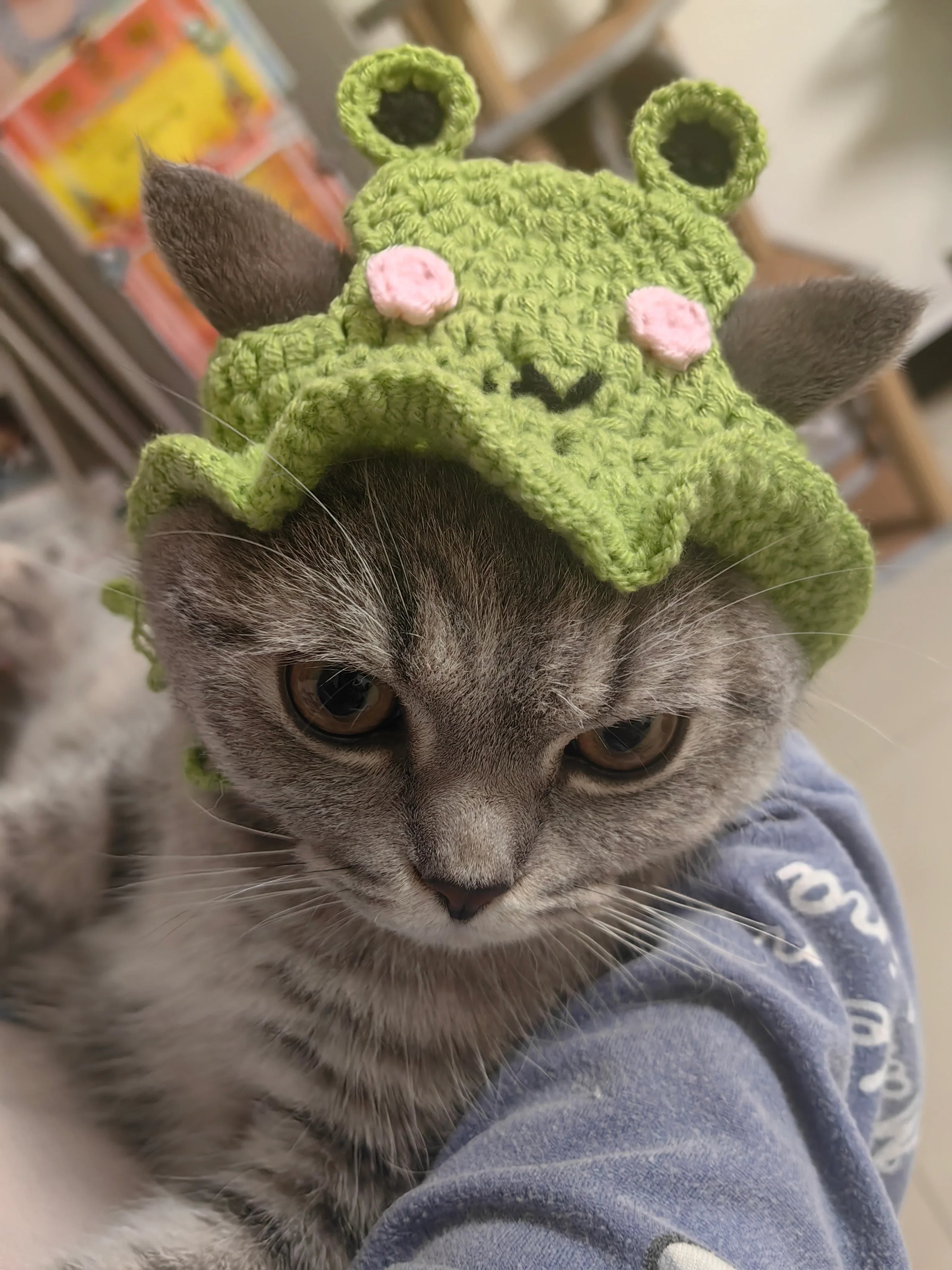 Dailypets Cute Frog Cat Hat for Photo Sessions and Everyday Dress-Up