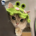 Dailypets Cute Frog Cat Hat for Photo Sessions and Everyday Dress-Up