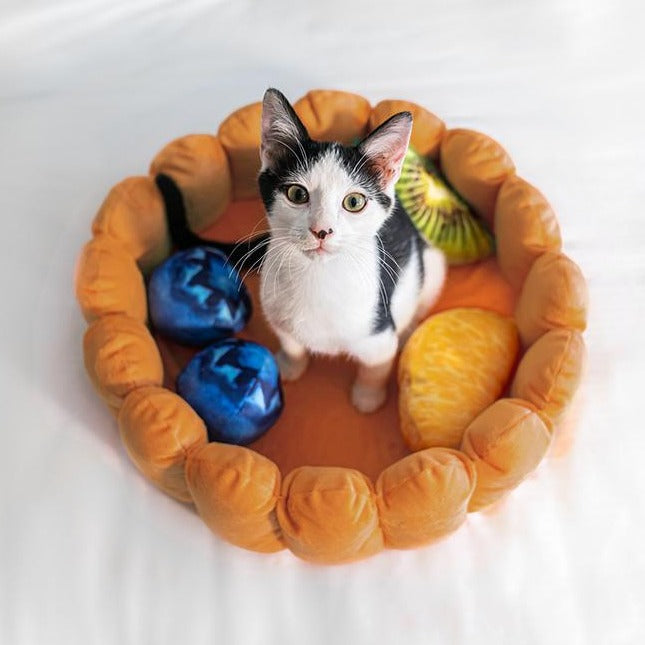 Dailypets Fruit Cushion Cat Bed, Plush Tart Nest for Naps and Play