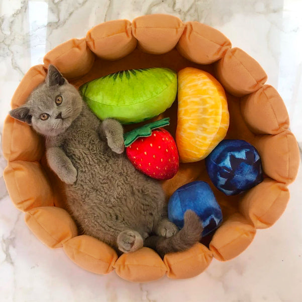 Dailypets Cozy Fruit Tart Cat Bed with Playful Plush Accents