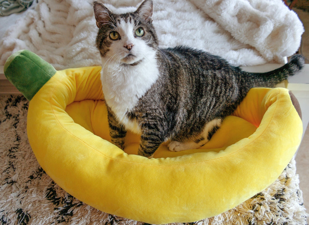 Dailypets Banana Shaped Cat Bed Plush Cozy Lounger for Cats