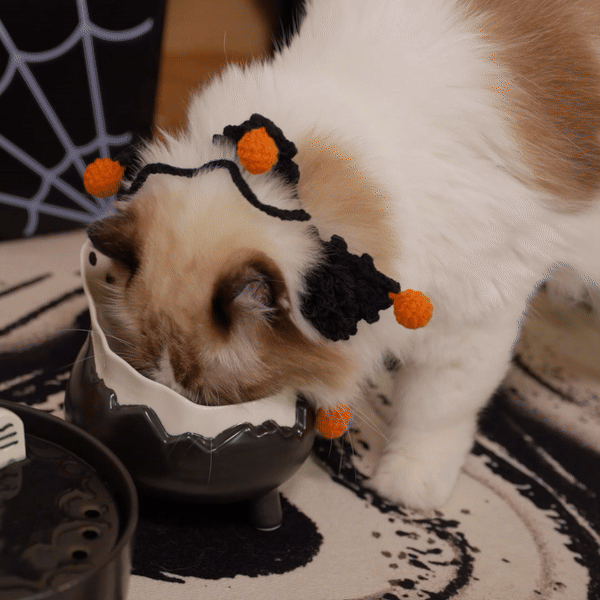 Dailypets Ceramic Cat Bowl Gothic Ghost Pet Food Bowl