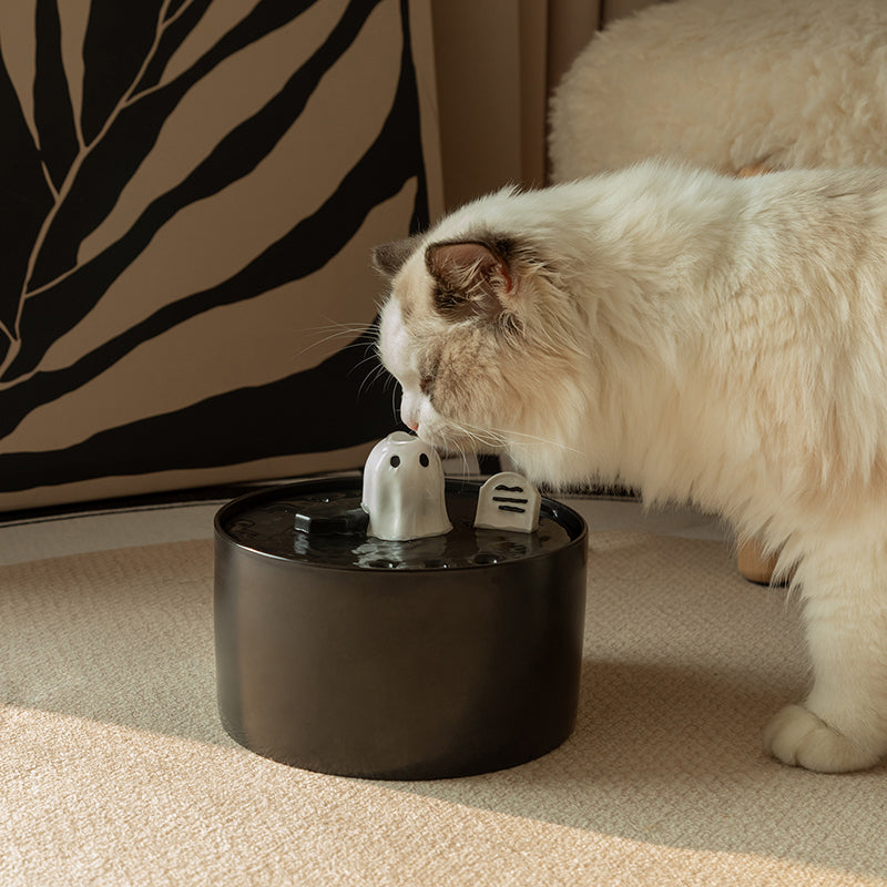 Dailypets Ceramic Ghost Cat Water Fountain 50oz with Continuous Water Flow
