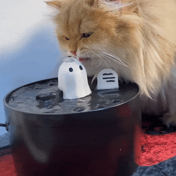 Dailypets Ceramic Ghost Cat Water Fountain 50oz with Continuous Water Flow