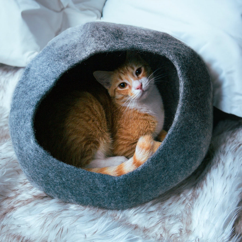 Dailypets Enclosed Wool Cat Bed – Soft Graphite Cat Cave