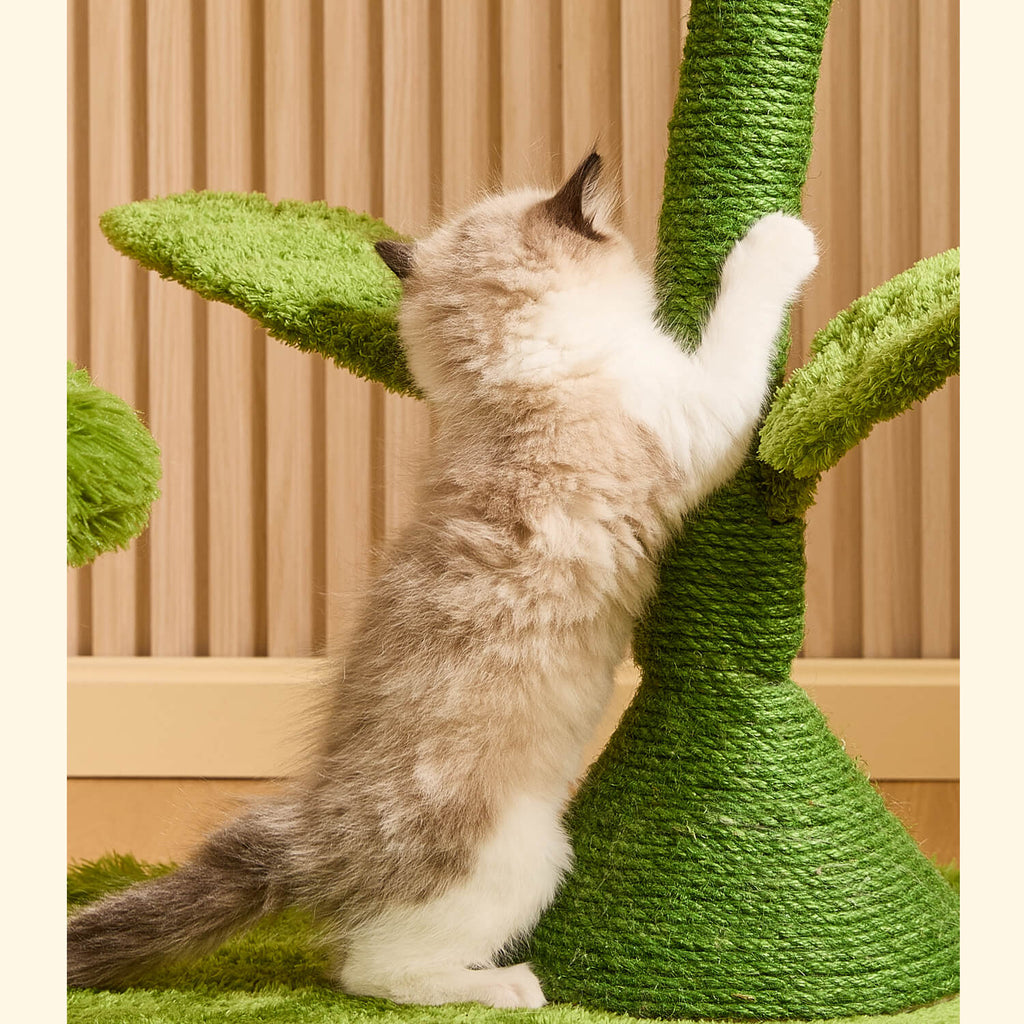 Dailypets Carnivorous Flower Cat Tree 41.7in Plush Cat Tower