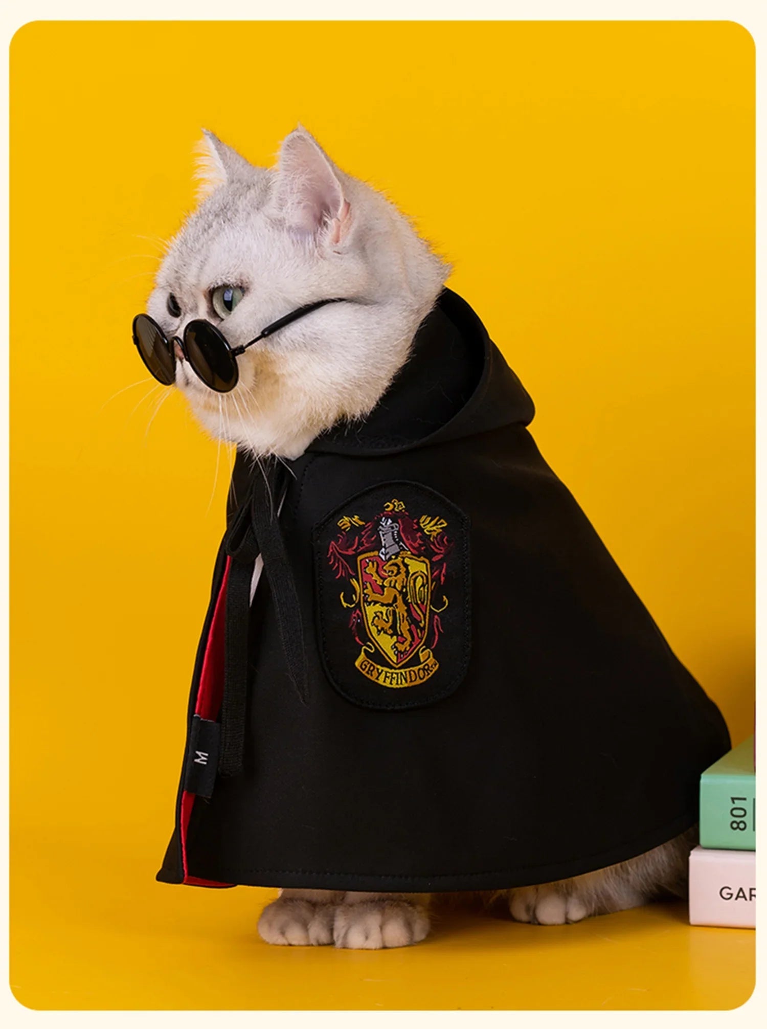 Dailypets Wizard-Inspired Cat Costume Set for Photo Sessions and Special Occasions
