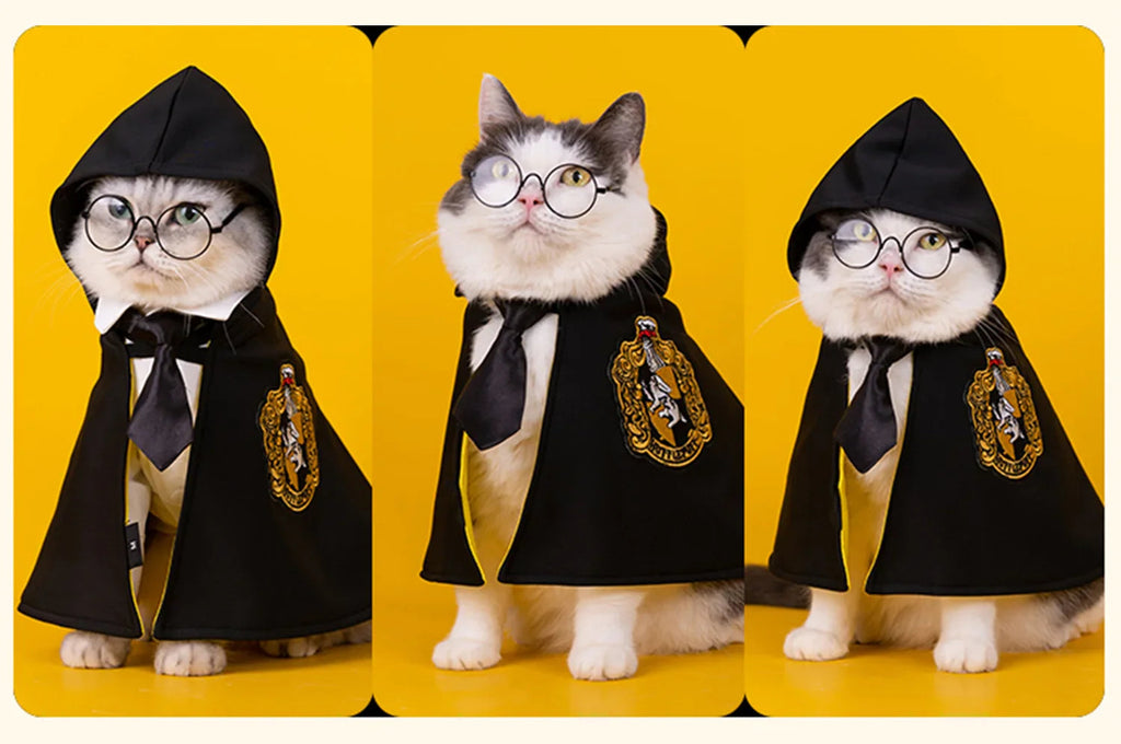 Dailypets Wizard-Inspired Cat Costume Set for Photo Sessions and Special Occasions