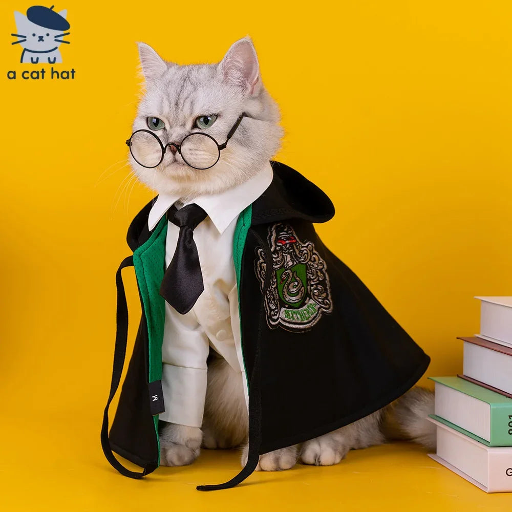 Dailypets Wizard-Inspired Cat Costume Set for Photo Sessions and Special Occasions