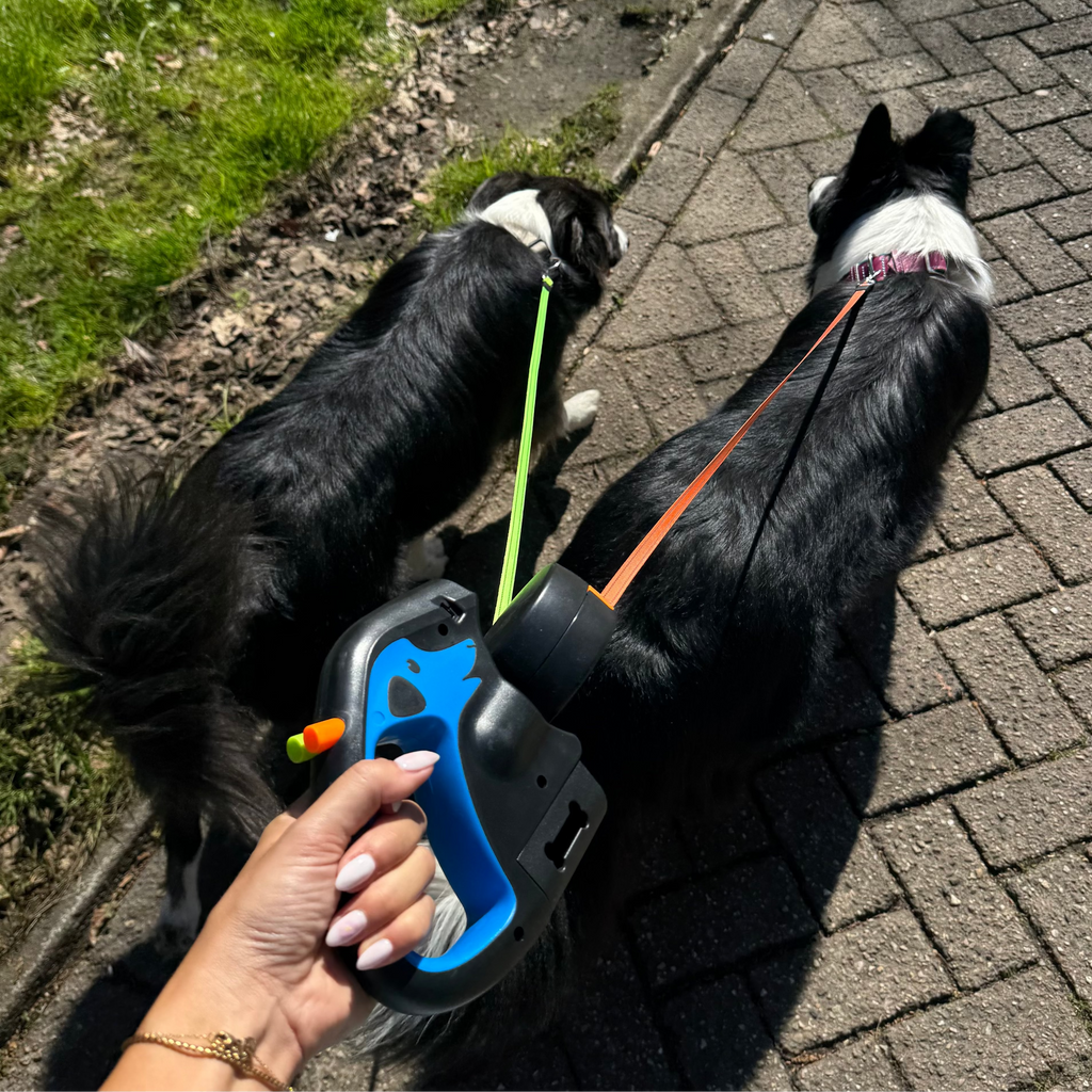 Dailypets 3-in-1 Dual Retractable Dog Leash with Flashlight & Waste Bag Holder