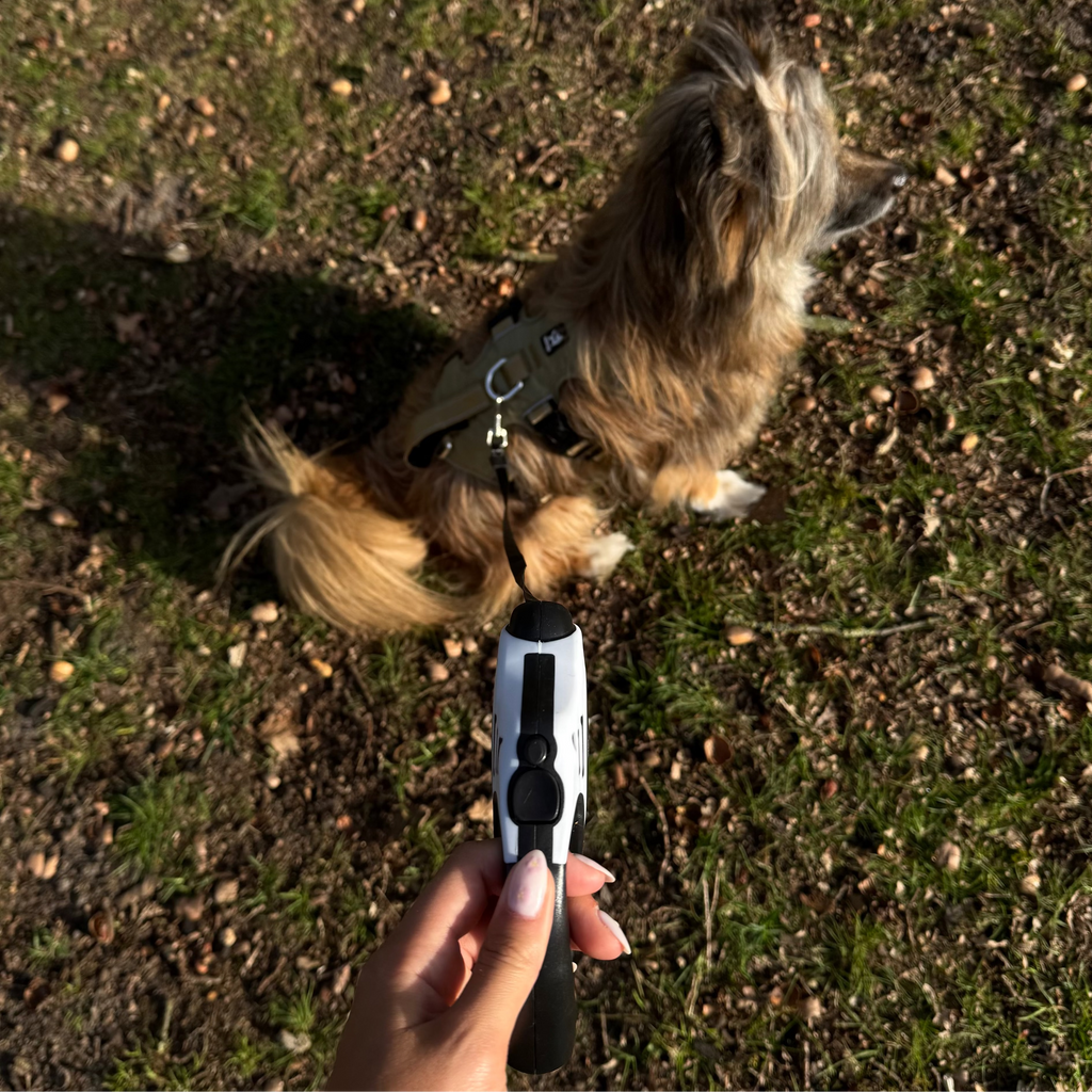 Dailypets 3 m & 5 m Retractable Dog Lead with Ergonomic Grip and Secure Lock