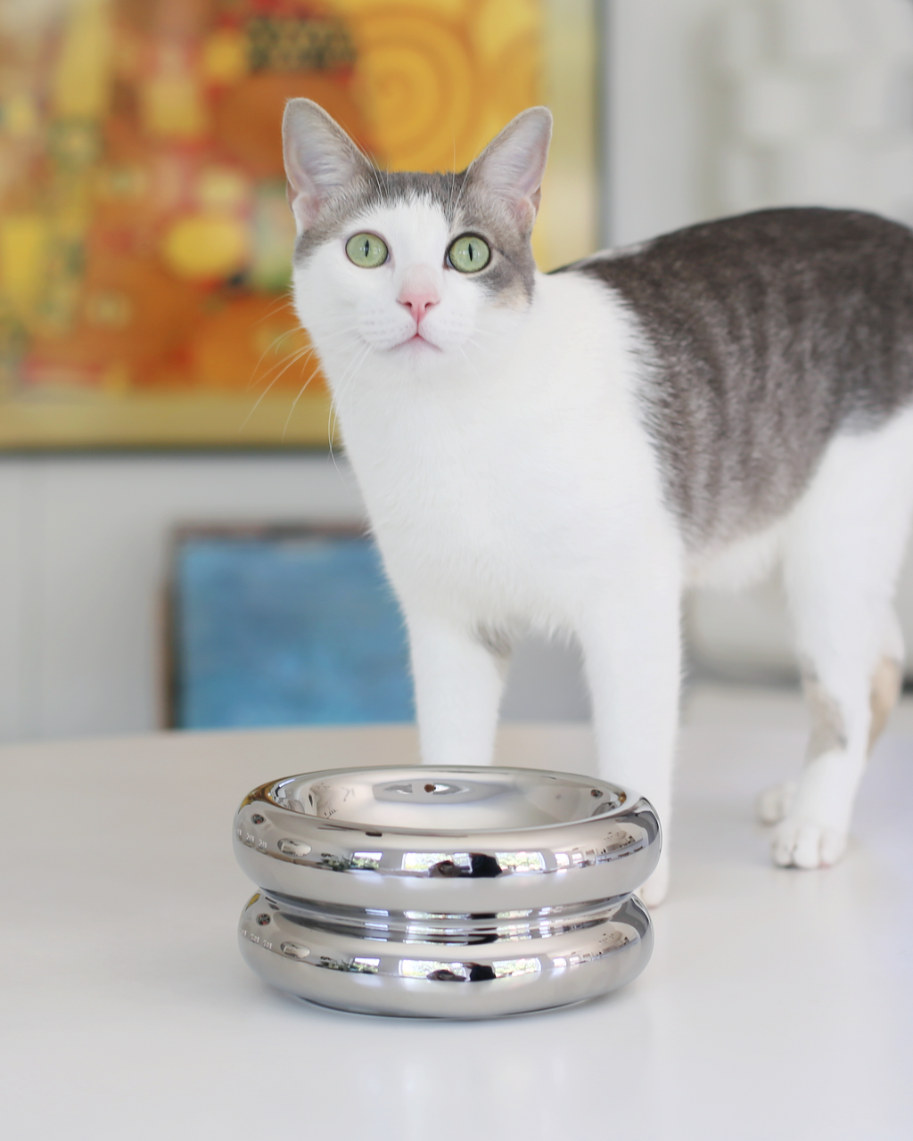 Dailypets Chrome Ceramic Cat Dining Station