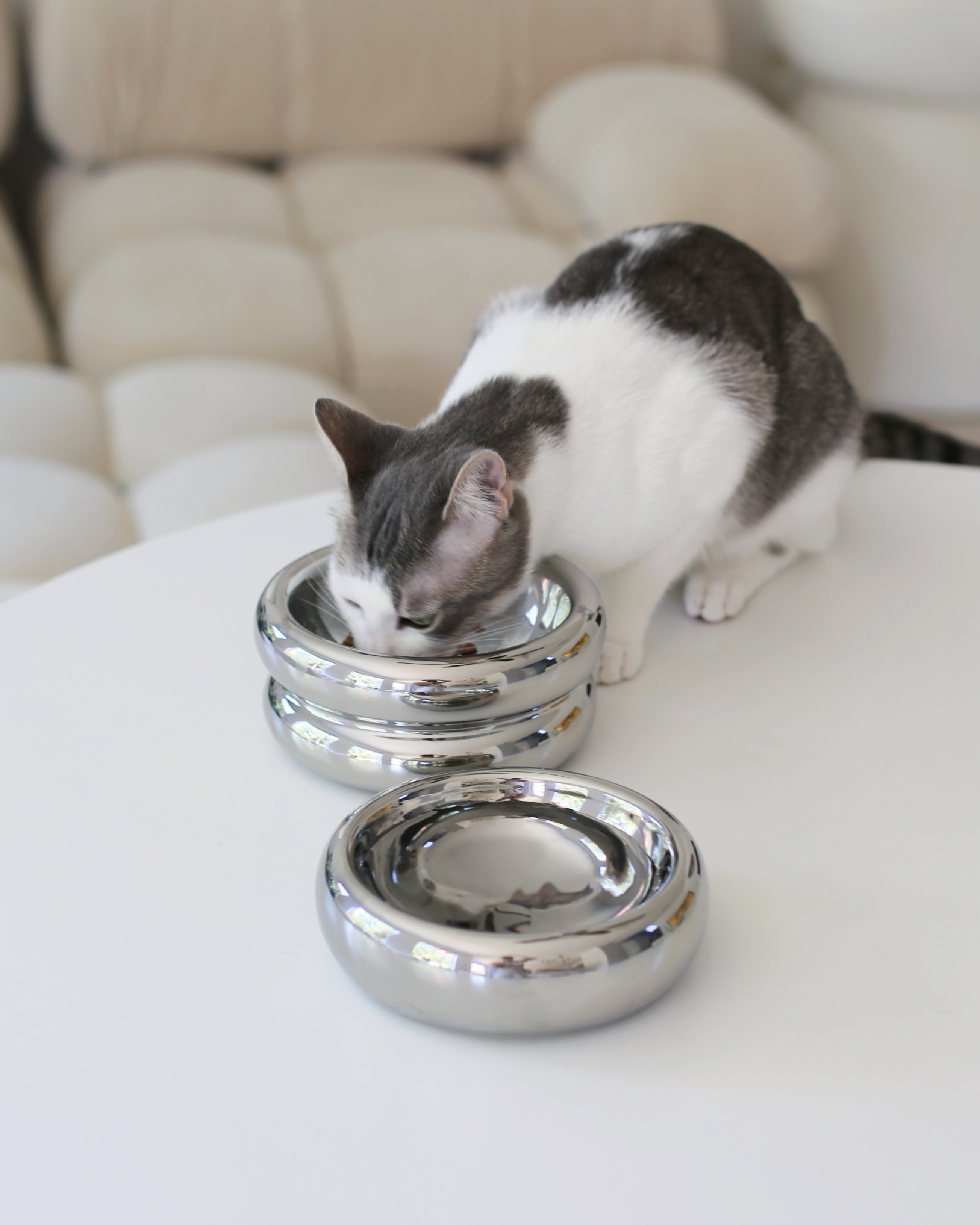 Dailypets Luxury Ceramic Cat Water & Food Dish
