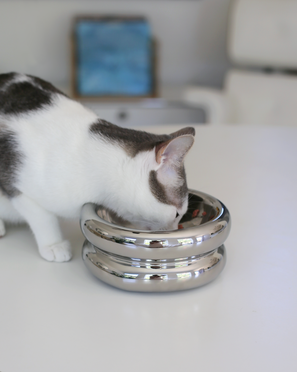 Dailypets Chrome Ceramic Cat Dining Station