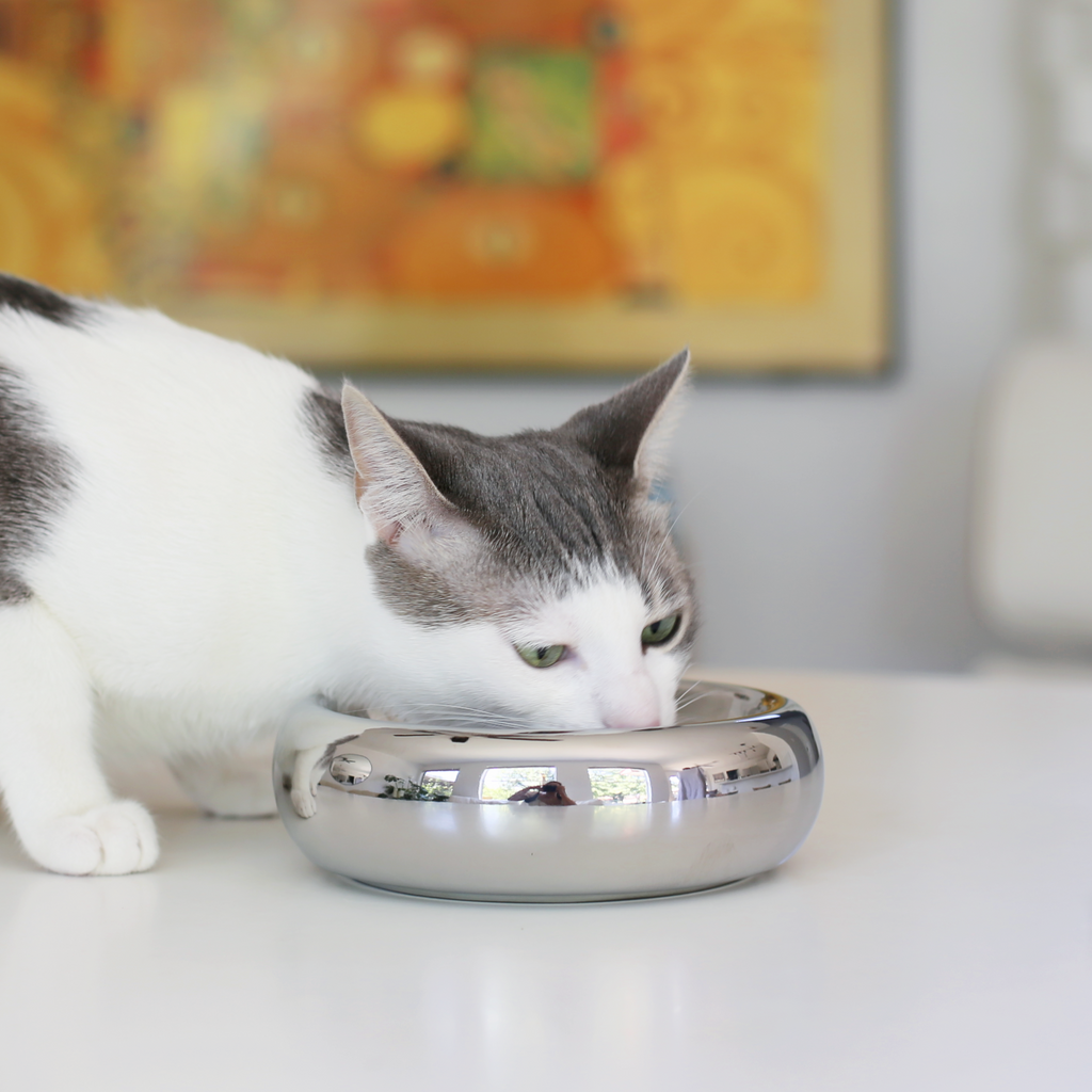 Dailypets Luxury Ceramic Cat Water & Food Dish