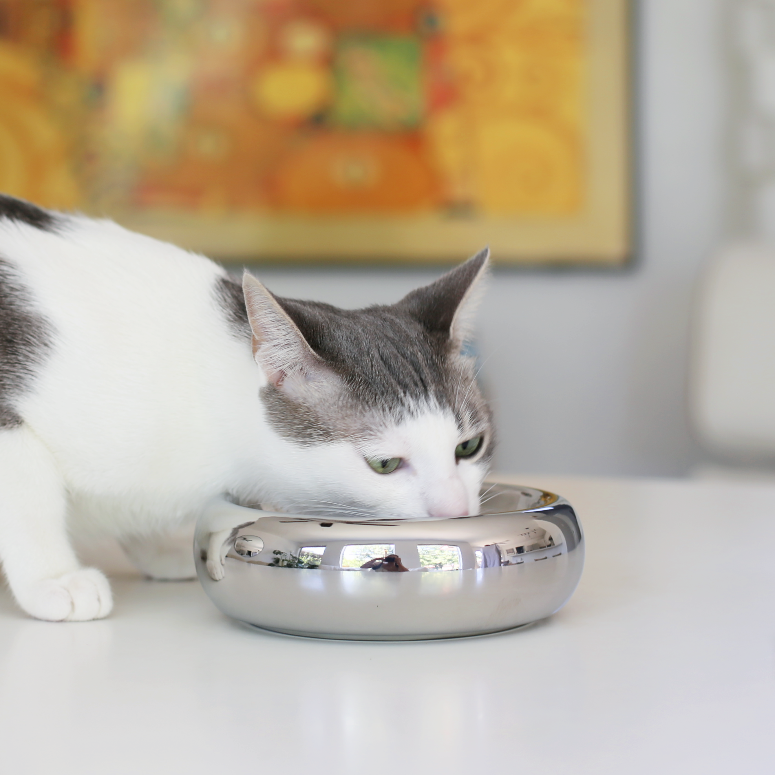 Dailypets Luxury Ceramic Cat Water & Food Dish