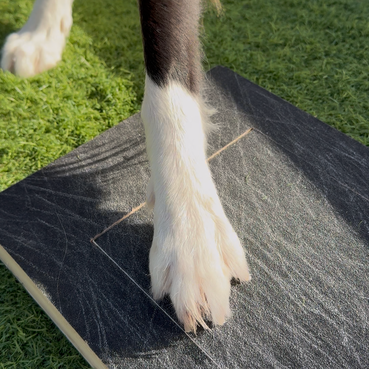 Dailypets Wooden Pet Nail Scratch Board for Natural Dog Nail Maintenance at Home