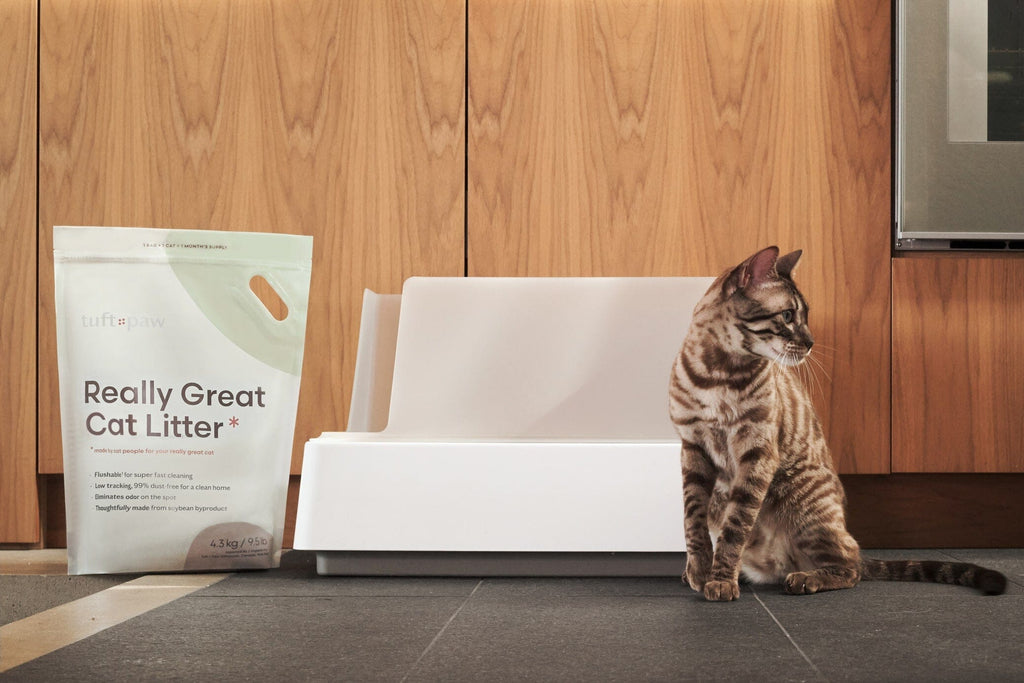 Dailypets All-in-One Litter Box with Scoop Storage