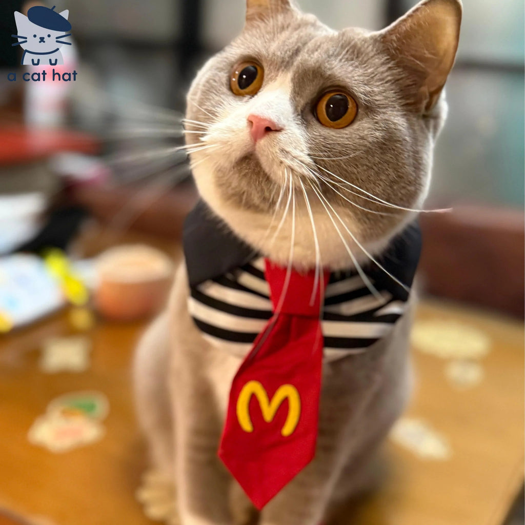 Dailypets Character-Inspired Cat Bib and Hat Set for Indoor Cats