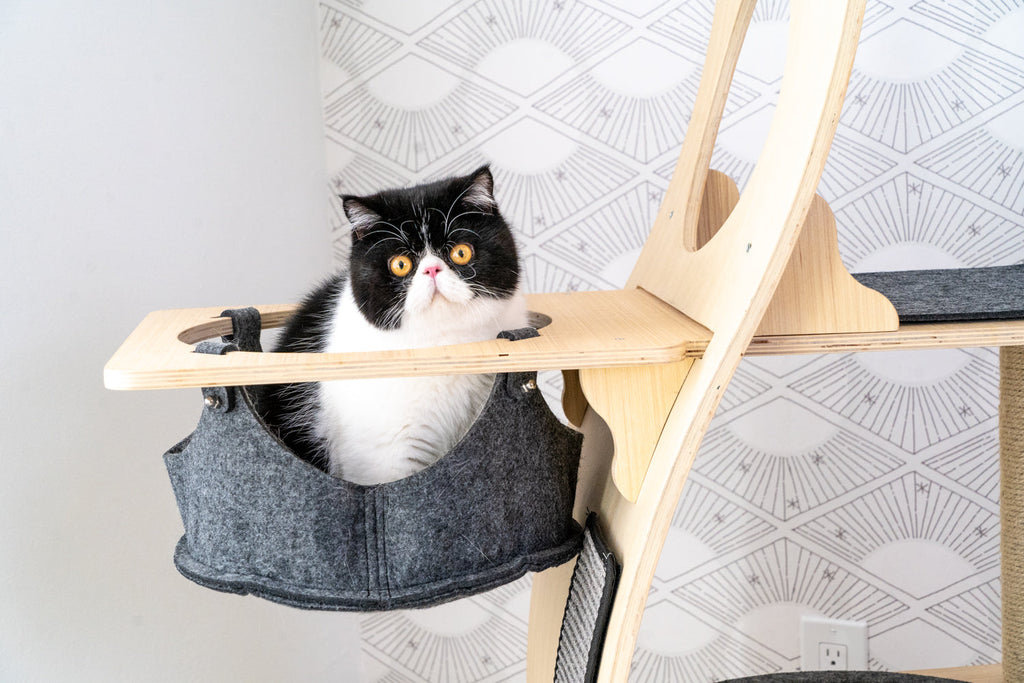 Dailypets Wooden Cat Tree Condo, Multi-Level Tower with Hammock and Cubby