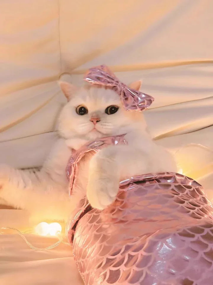 Dailypets Mermaid Cat Costume with Fish Scale Design and Matching Hair Bow