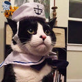 Dailypets Classic Navy Cat Sailor Outfit with Anchor Hat and Matching Collar