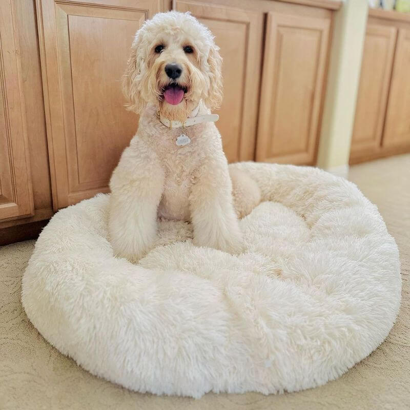Dailypets Anxiety Relieving Dog Bed, Fluffy Donut Bed with Anti-Slip Bottom