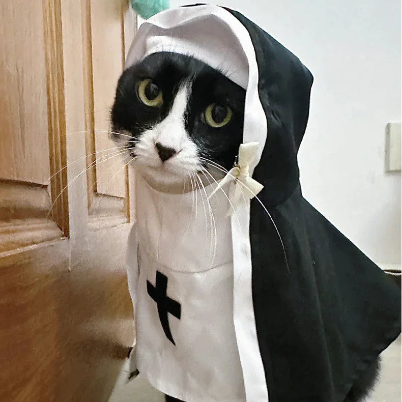 Dailypets Monastic-Inspired Cat Costume for Photo Sessions and Dress-Up