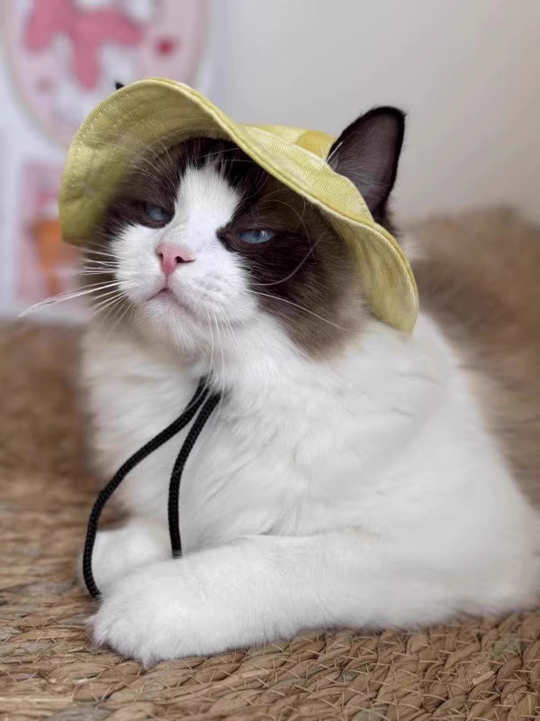 Dailypets Summer Sun Hat for Cats with Adjustable Chin Strap