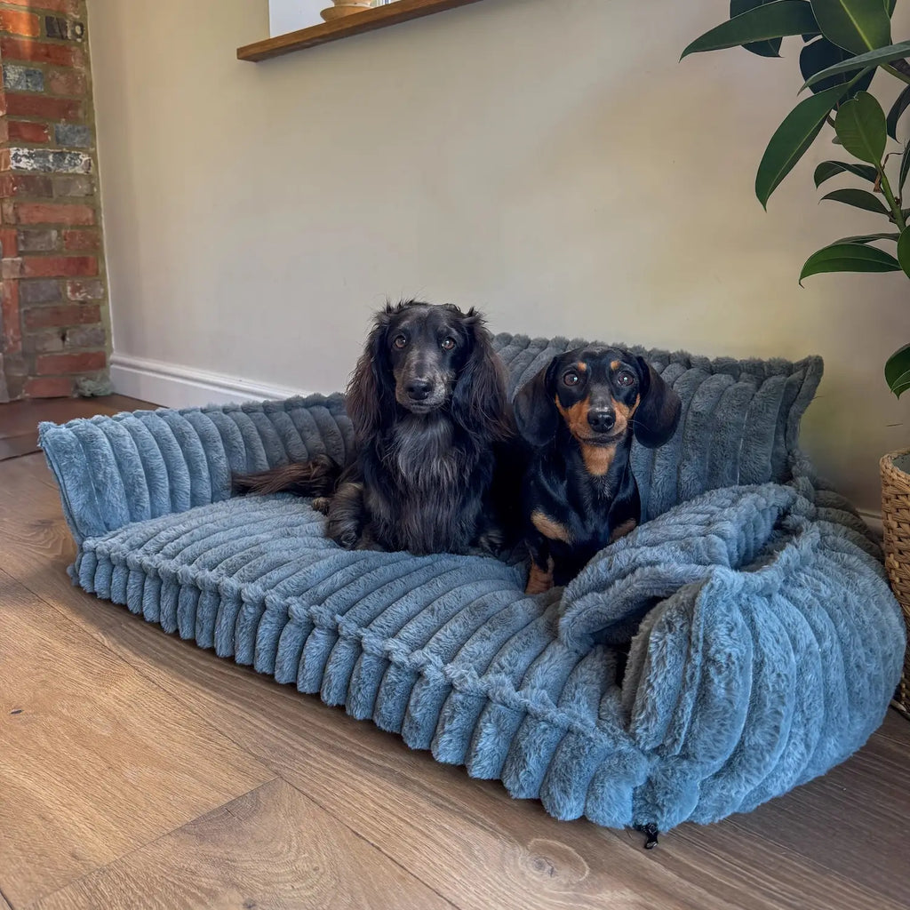 Dailypets Cozy Pet Sofa Bed, Plush Washable Lounge for Dogs