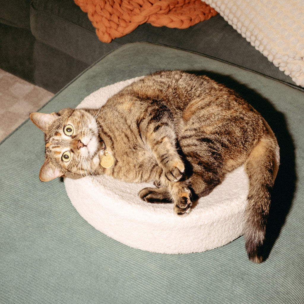 Dailypets Cozy Nesting Cat Bed with Plush Cover
