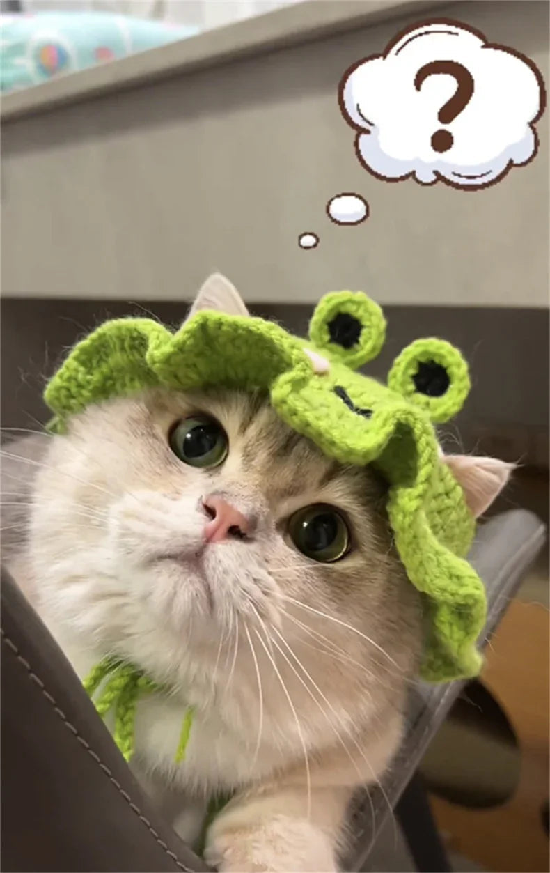Dailypets Cute Frog Cat Hat for Photo Sessions and Everyday Dress-Up