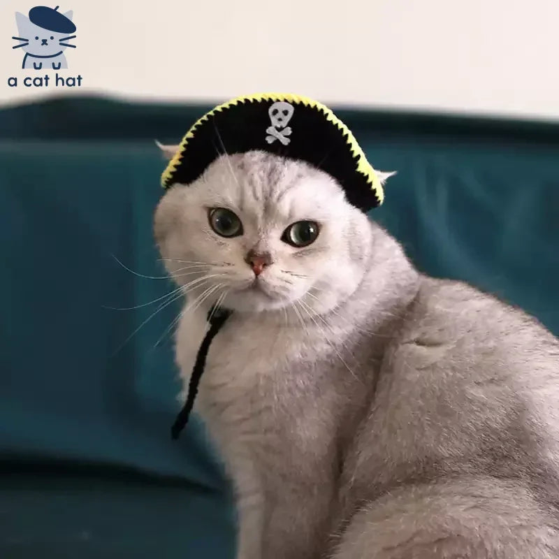 Dailypets Pirate Cat Hat with Skull Emblem for Photos and Costume Parties