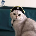 Dailypets Pirate Cat Hat with Skull Emblem for Photos and Costume Parties