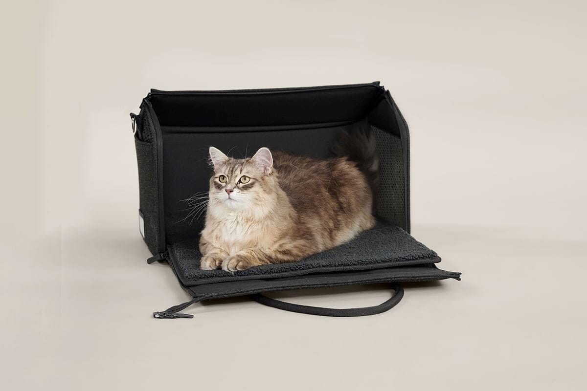 Dailypets Porto Travel Carrier for Cats & Small Pets