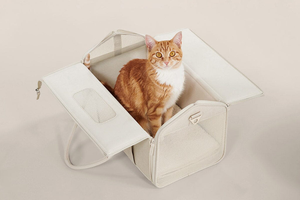 Dailypets Porto Travel Carrier for Cats & Small Pets