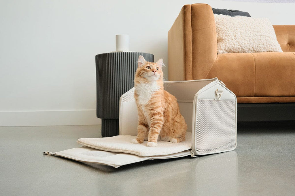 Dailypets Porto Travel Carrier for Cats & Small Pets