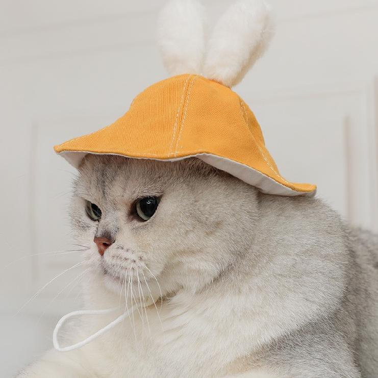 Dailypets Denim Rabbit Ear Cat Hat with Adjustable Drawstring for Photo Sessions